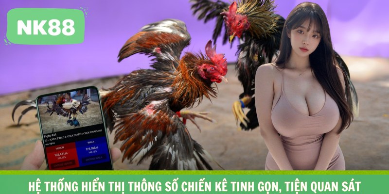 Hệ thống hiển thị thông số chiến kê tinh gọn, tiện quan sát