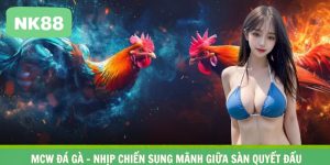 MCW Đá Gà – Nhịp Chiến Sung Mãnh Giữa Sàn Quyết Đấu