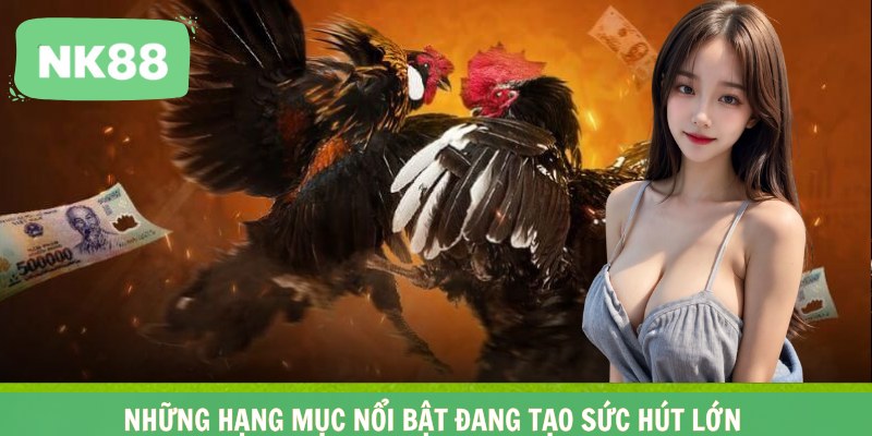 Những hạng mục nổi bật đang tạo sức hút lớn
